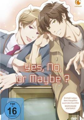 Yes, No, or Maybe? - The Movie
